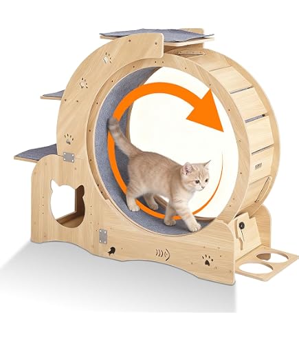 Amazon.co.jp: GLOLIT 大型のキャットホイール 直径80cm 室内飼い猫の